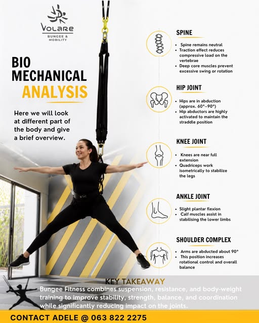 Bio Mechanical Analysis